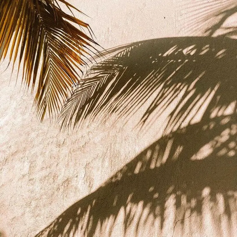 Mizuki🦋 Pinklagoonの掲載