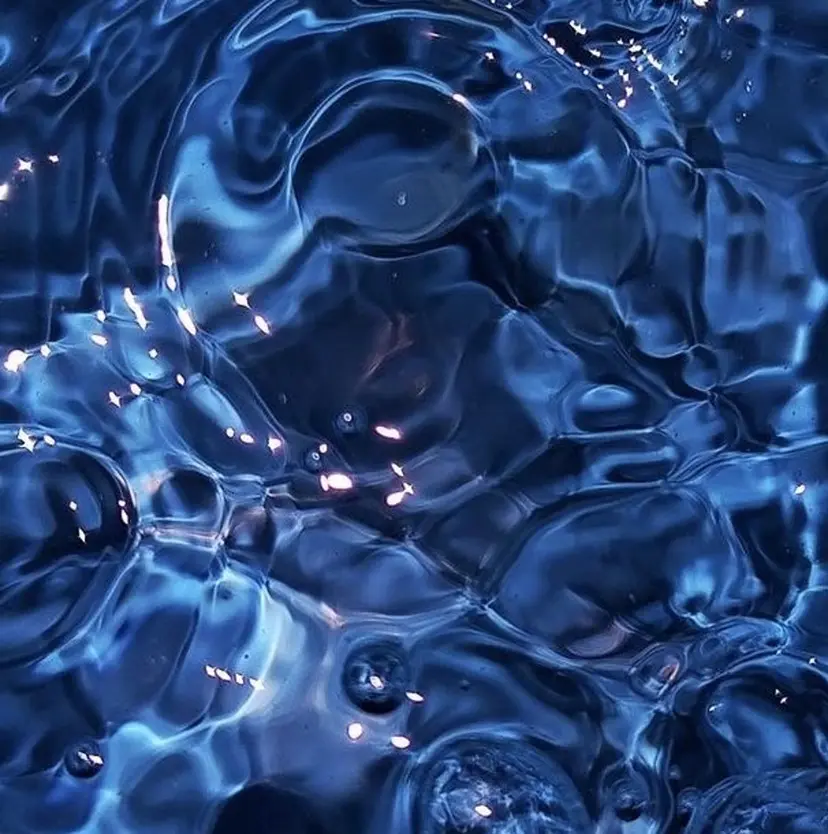 AINYUU SEVI.の掲載