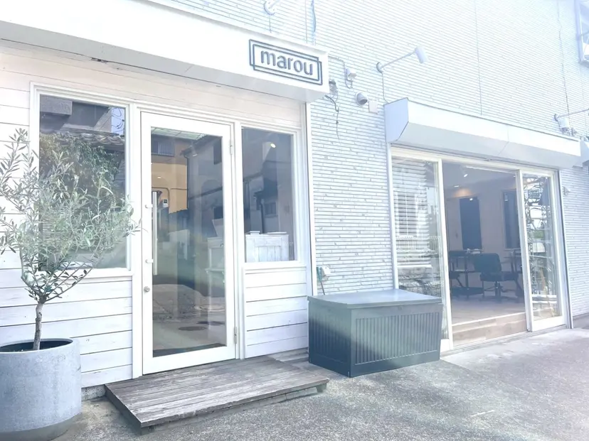 marou 新柏の掲載