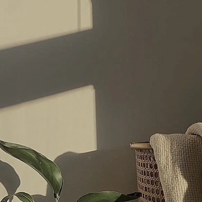 filonnail risaの掲載