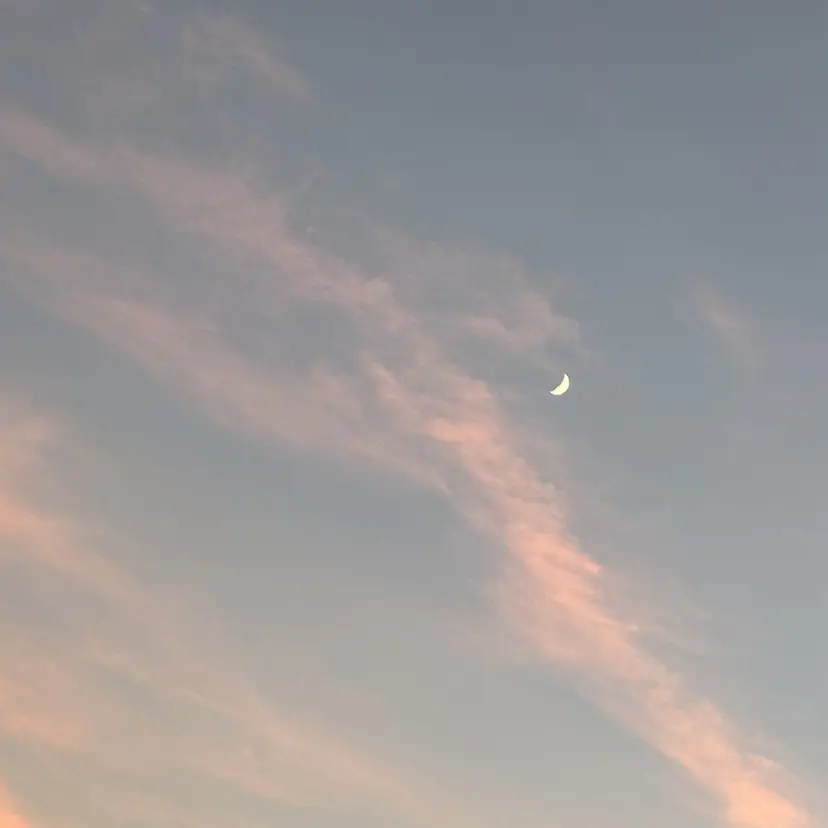 Yappy kurumiの掲載