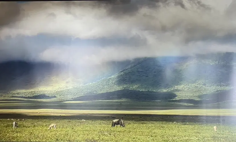 北村 アメリの掲載