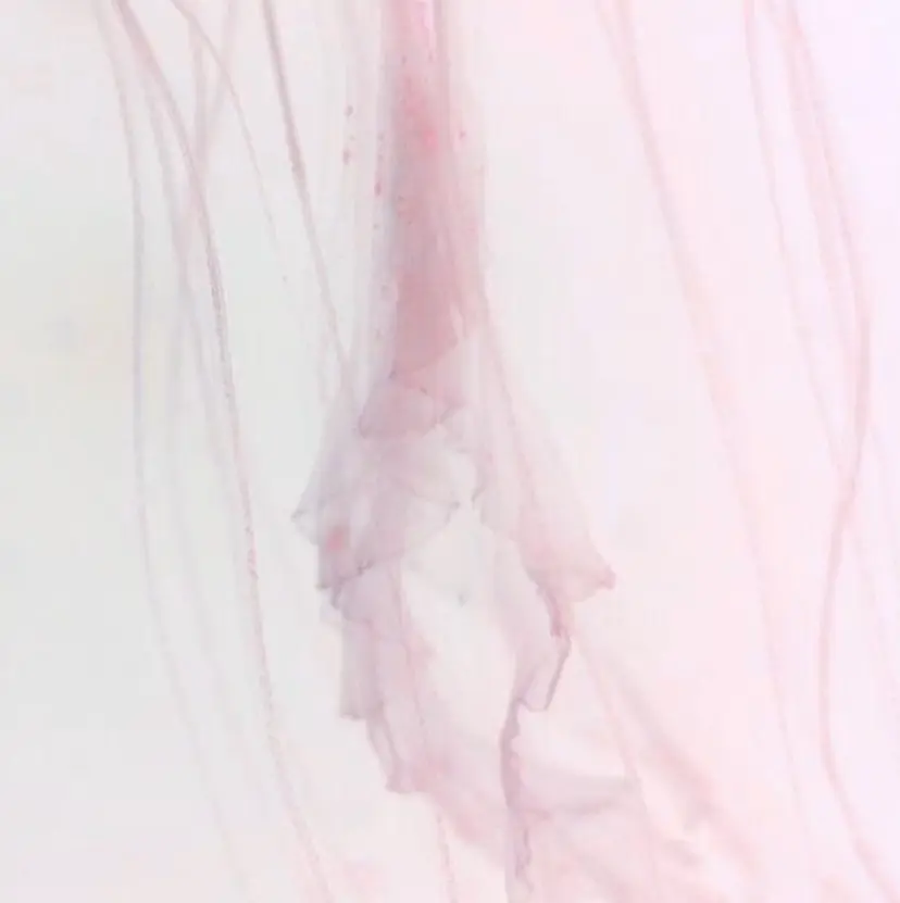 amii ✩ 谷口の掲載