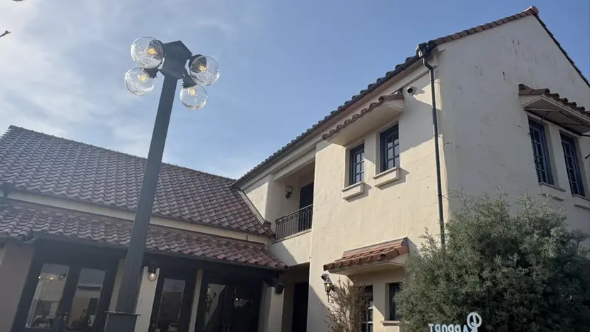 蟹江｜ワンカラー｜ みのりの掲載