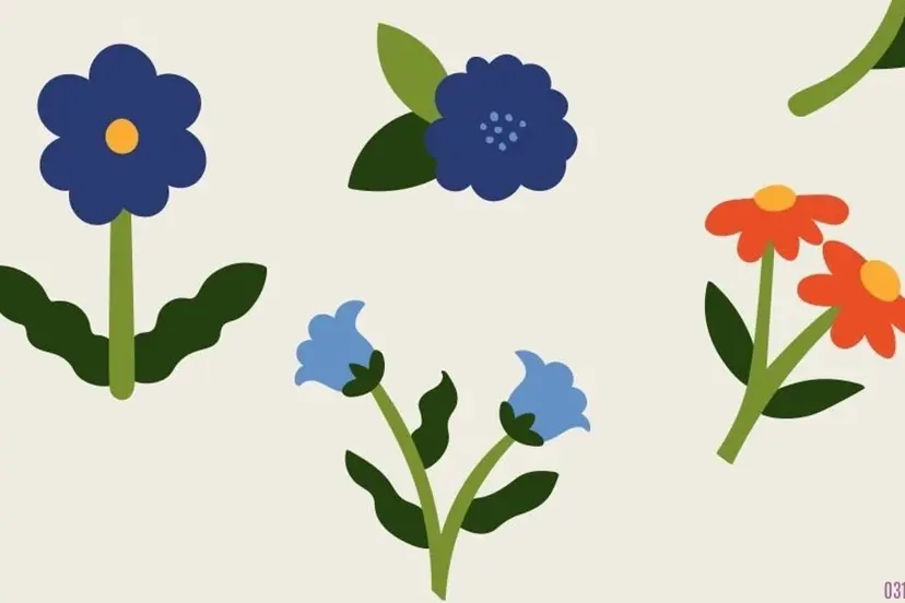 padma eye beautyの掲載