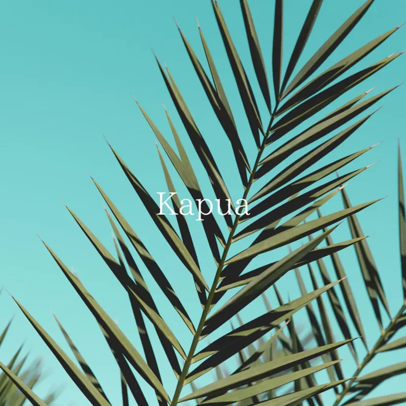 Kapua🌺 マユの掲載