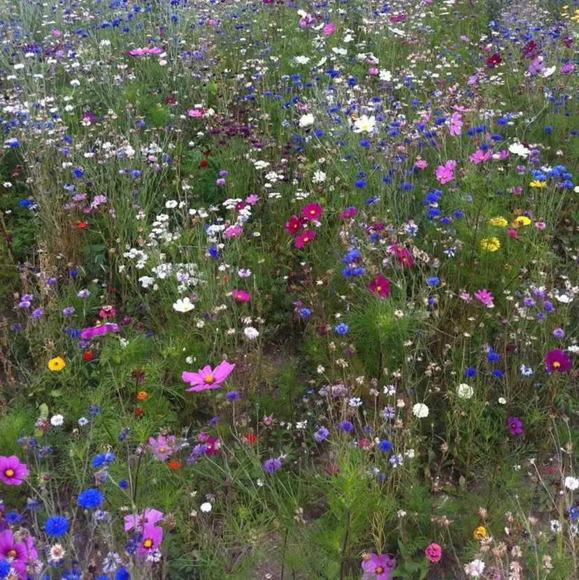 Misaki ║ツヤカラーの掲載