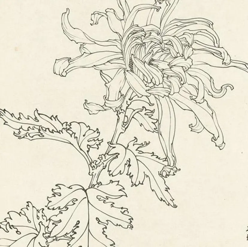 Kanna 神奈の掲載