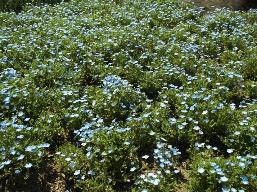 瓦井 沙奈の掲載