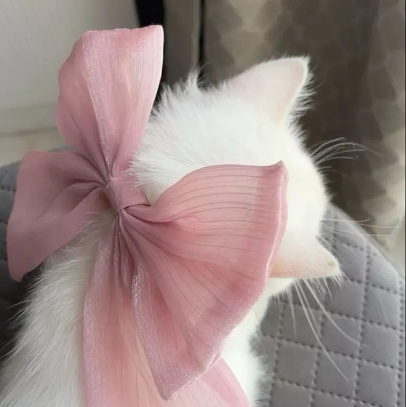 sakura 🎀 心斎橋 マツエクの掲載