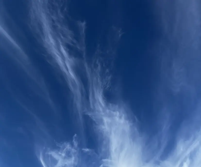 文 /個性派ネイルの掲載