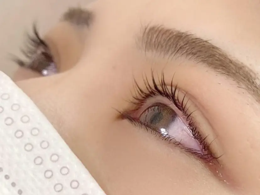eye lash Lapisの掲載