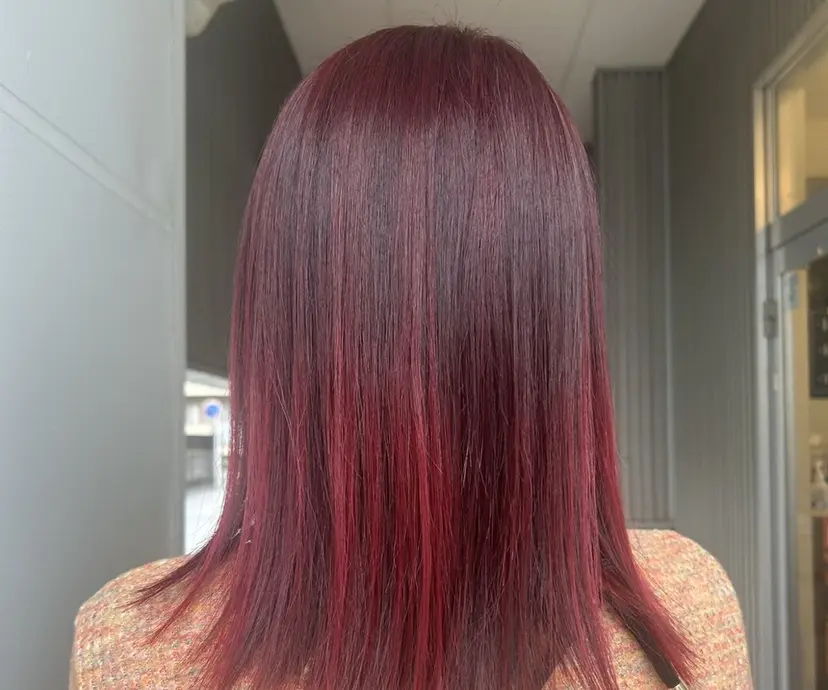 仲神 心琴の掲載