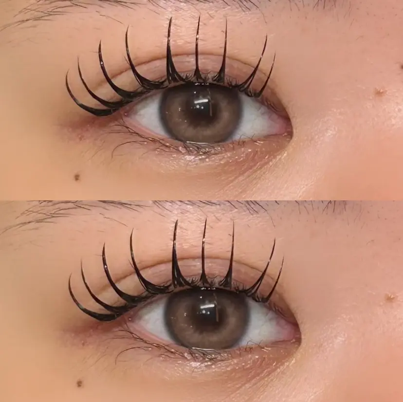 Lebon eye serina🦋の掲載