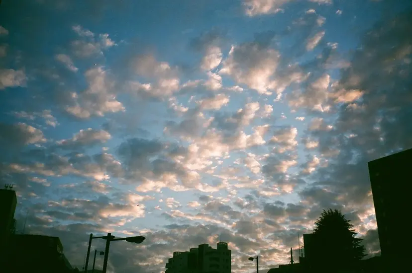 Takahashi Amiの掲載