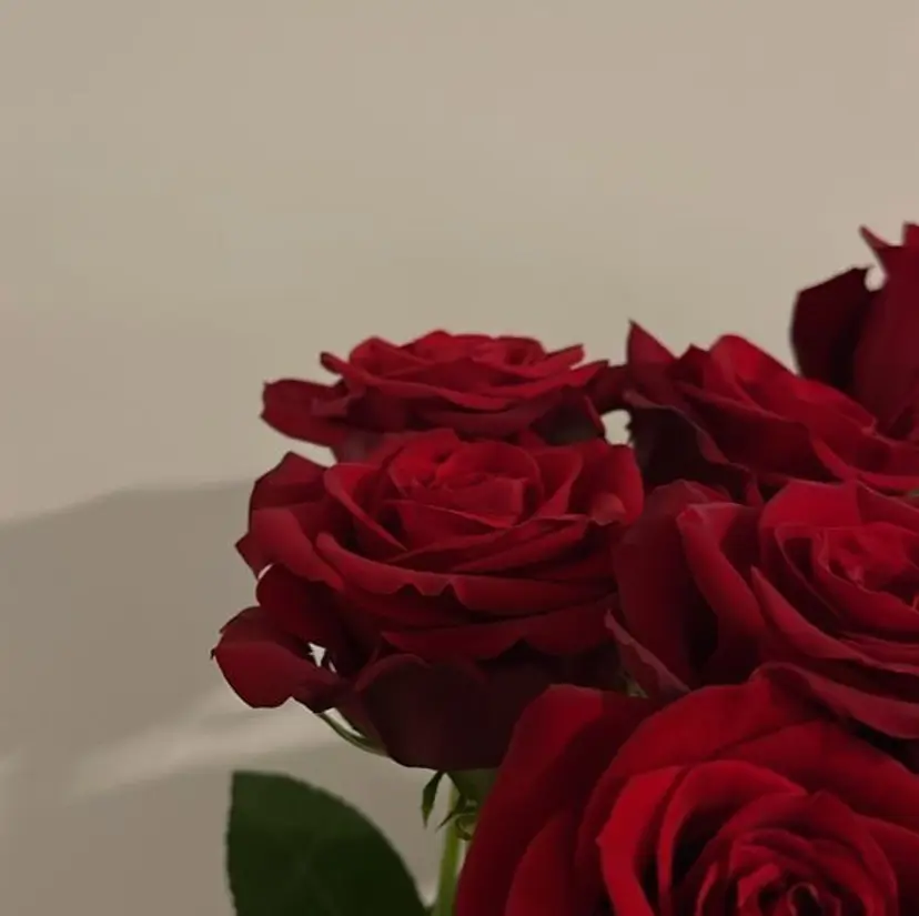 齋藤 若菜の掲載