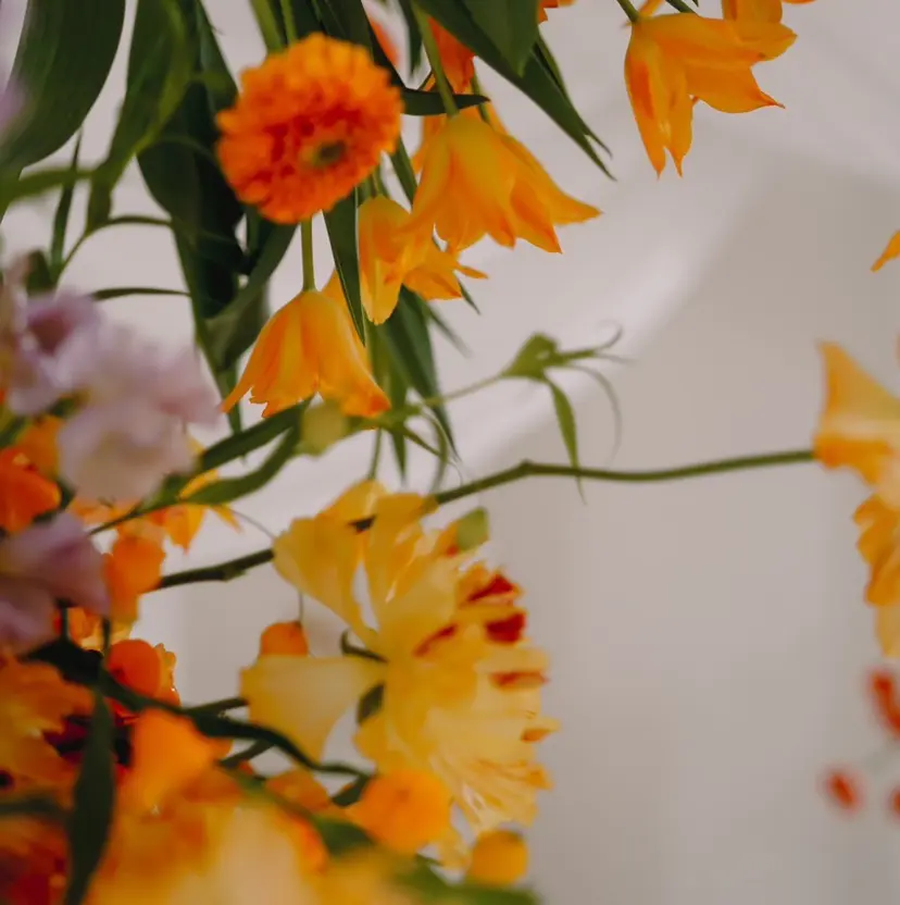 ◎かしま◎暖色カラー /メンズパーマの掲載