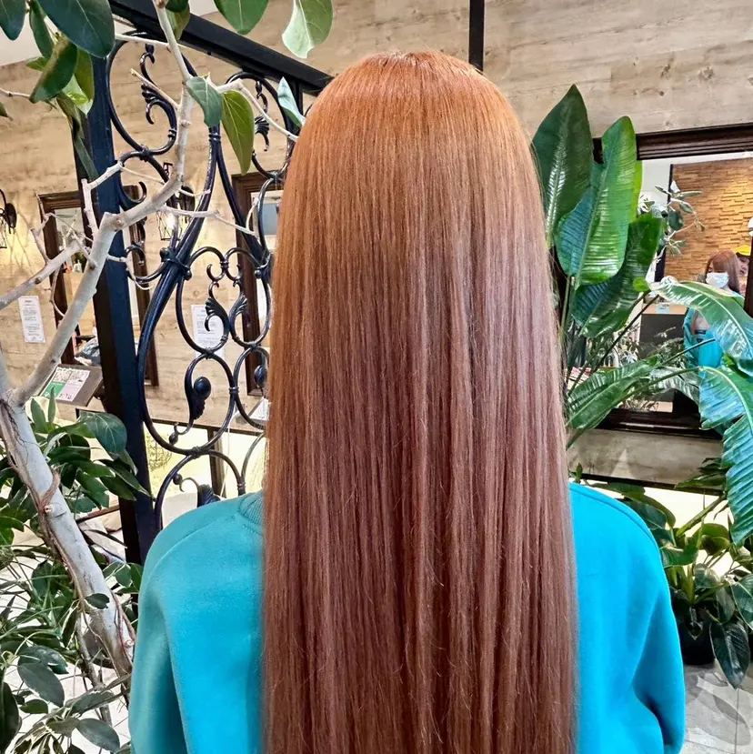 渡邉 昌子の掲載