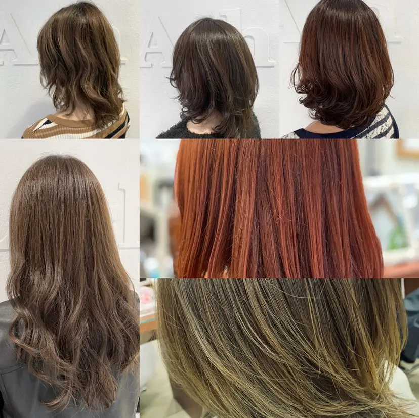 飯田 真澄の掲載