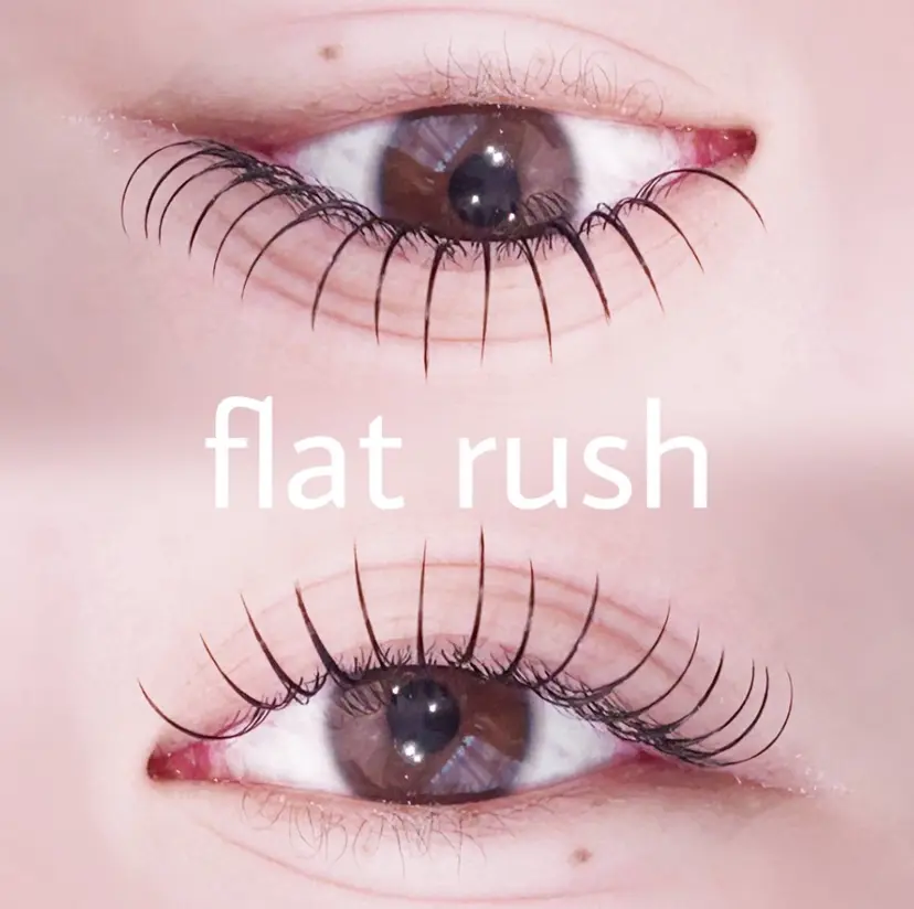 中村 雛里の掲載