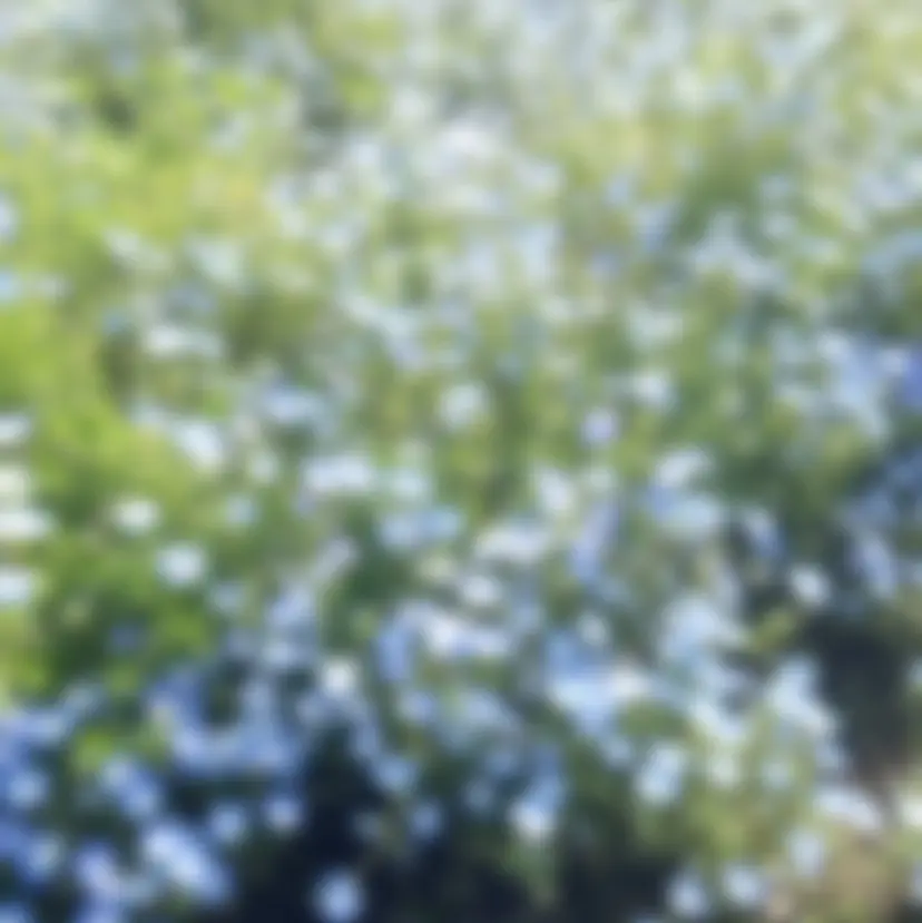 Noix 横浜の掲載