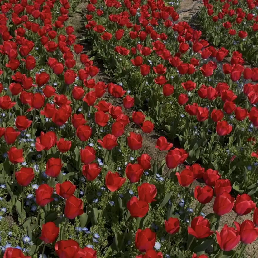 金木 洸瑠の掲載