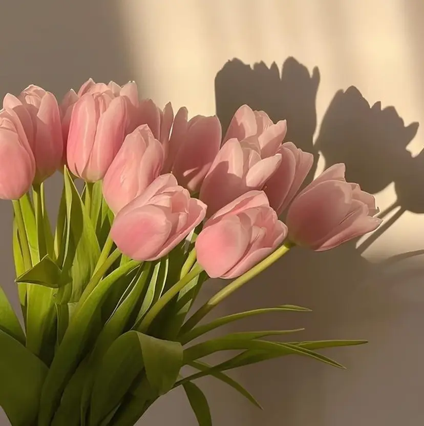 似合わせ♡ Sayaの掲載