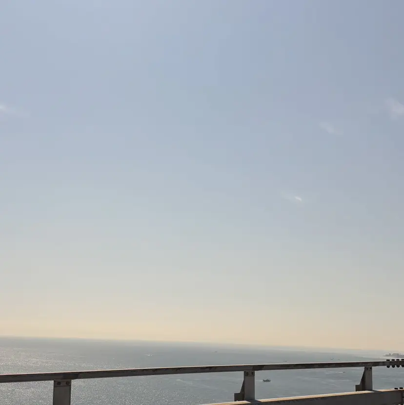 廣岡 千帆の掲載