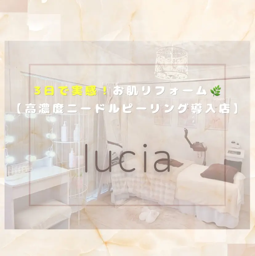 lucia  豊明 肌管理の掲載