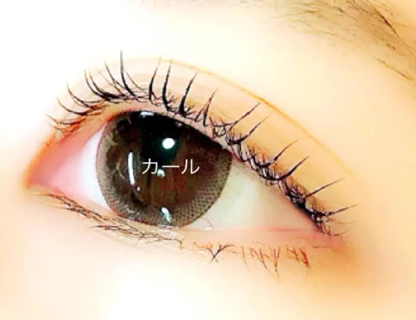 漢方温熱まつげ眉毛 痛いドライヘッドスパの掲載