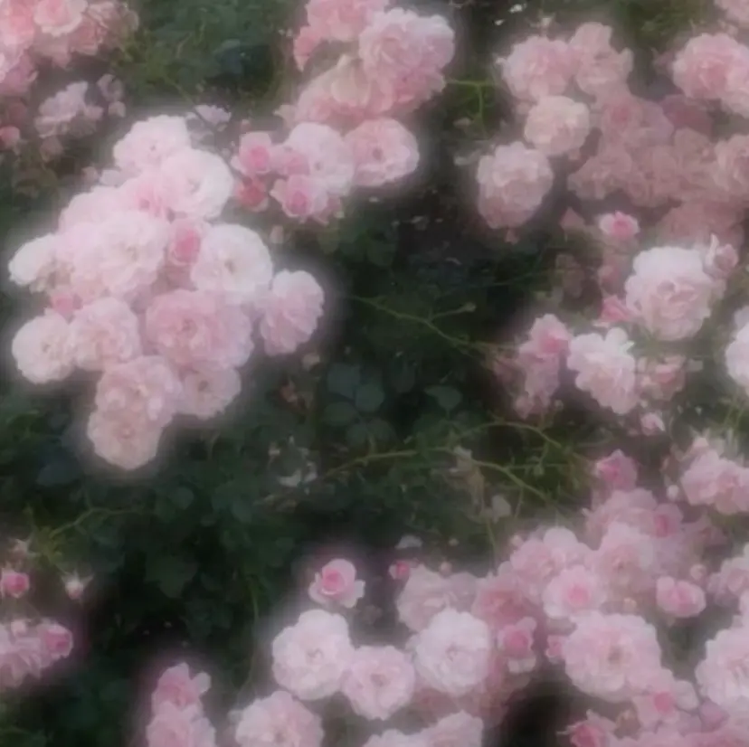 ️🫧透明感🫧🎀 カラー/HINANOの掲載