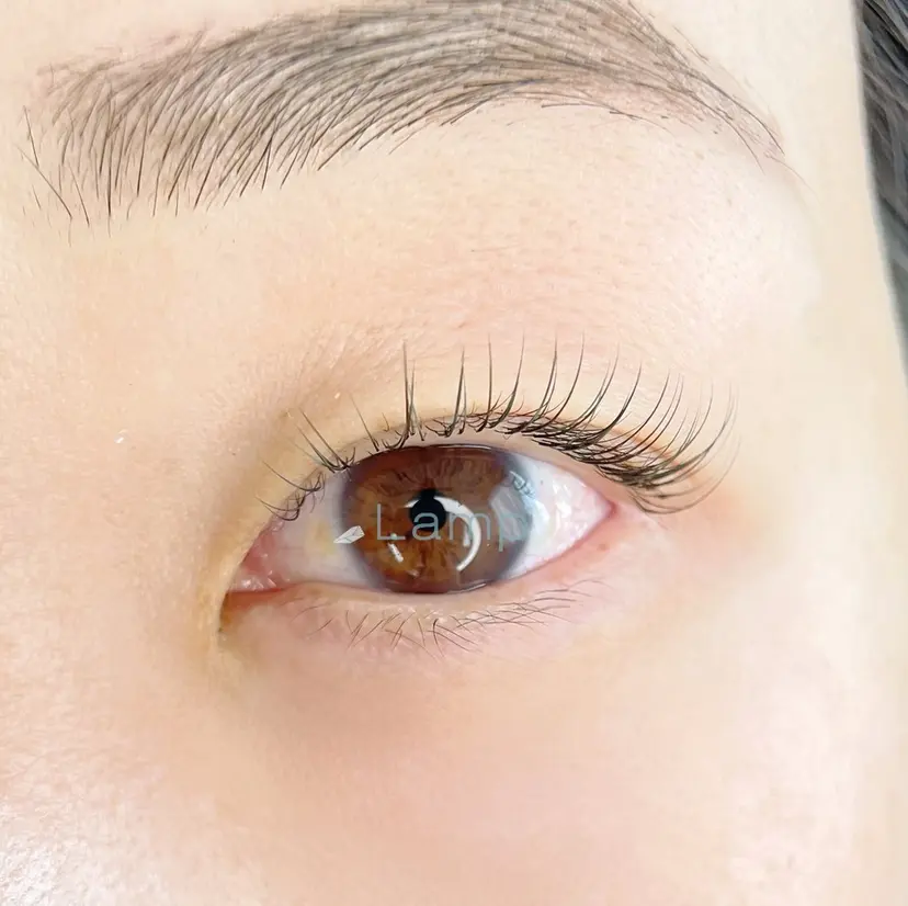 Lamp ちえの掲載