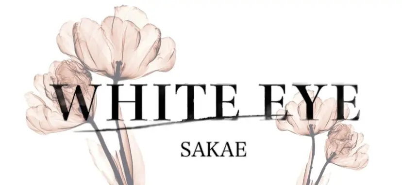 ホワイトアイ HIKARUの掲載