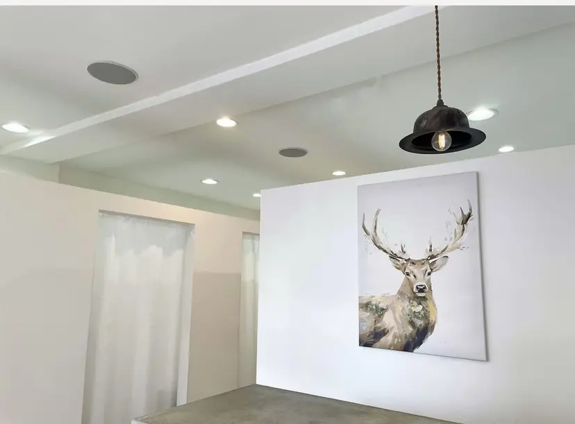 八木 信子の掲載