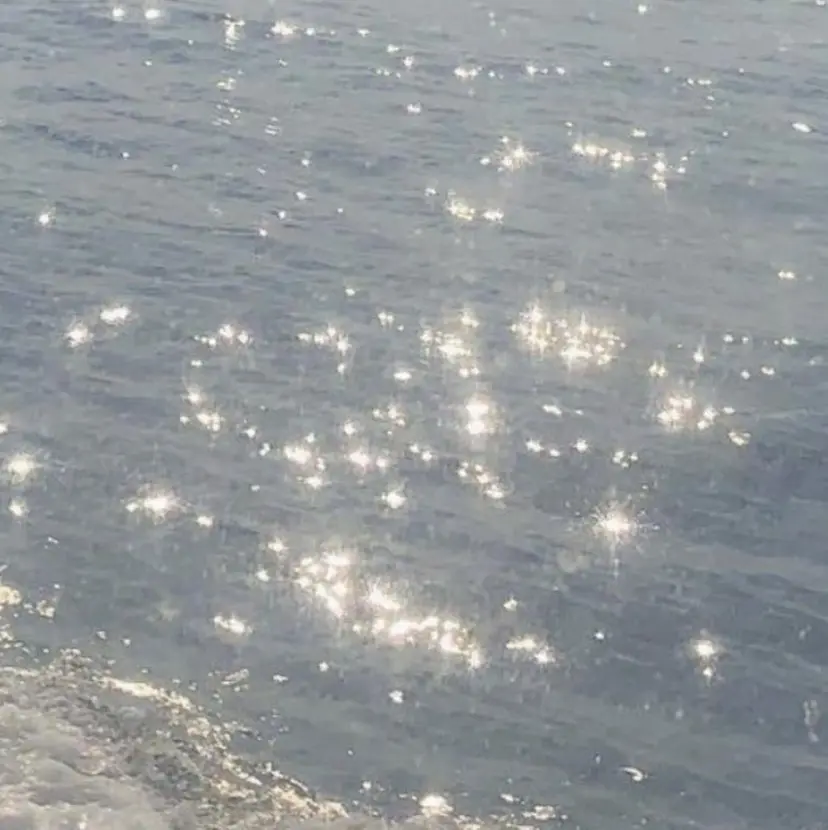 filonnail yurino🕊の掲載