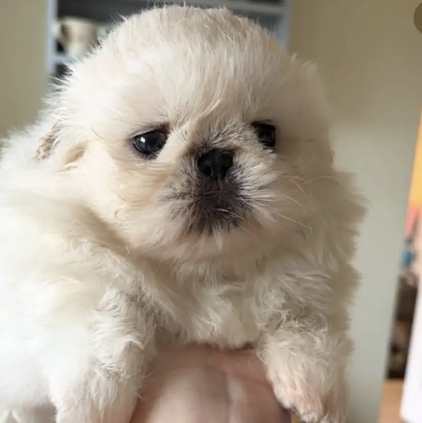 新宿kanau YUMIの掲載