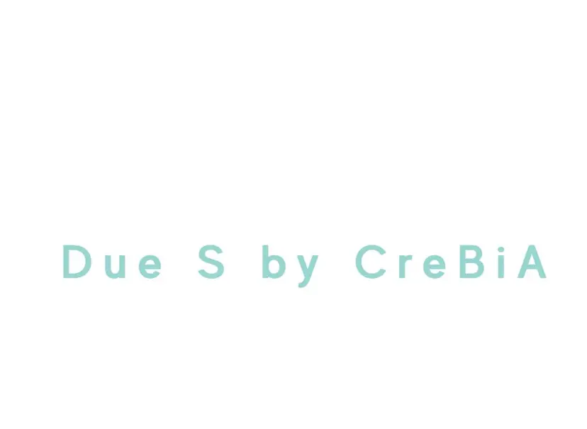 Due S 🎀Momokoの掲載