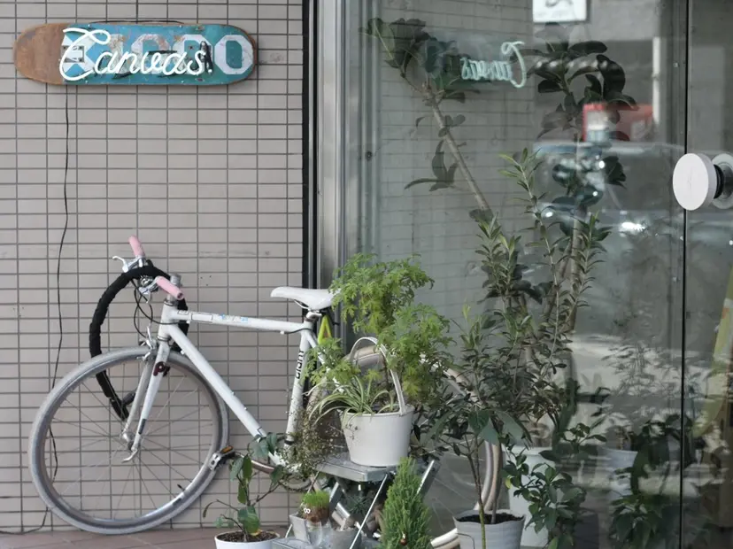 canvas. 今泉具視の掲載