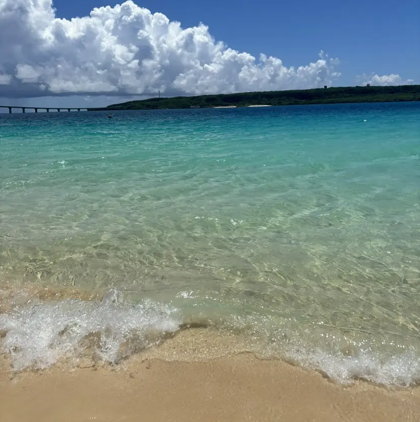 silk🐶 Ayaneの掲載