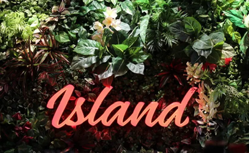 紺野 友花の掲載