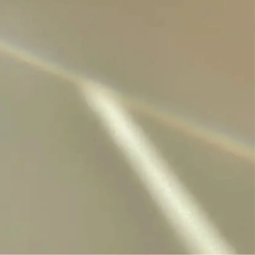 suzuki hinaの掲載