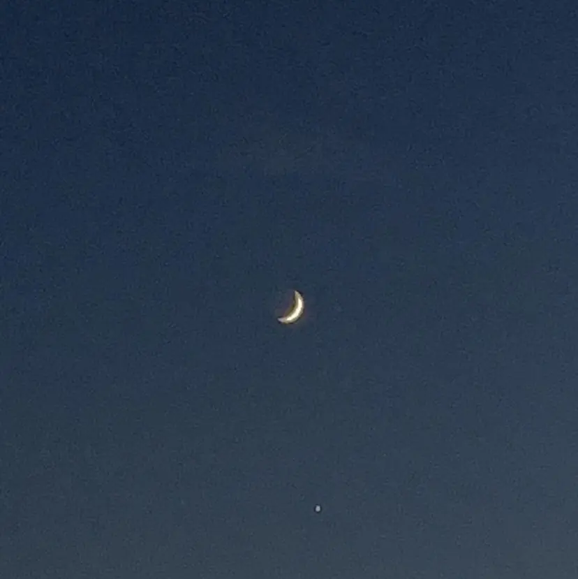 ile鎌倉🪐 shuka🪐の掲載