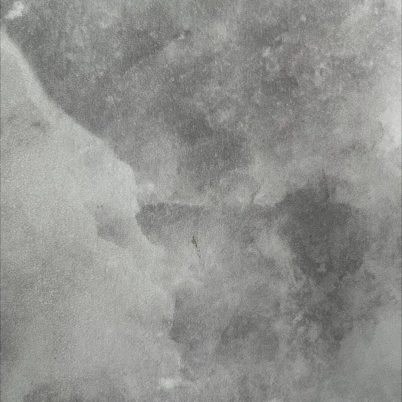 Lupines🐱 SHIHORIの掲載