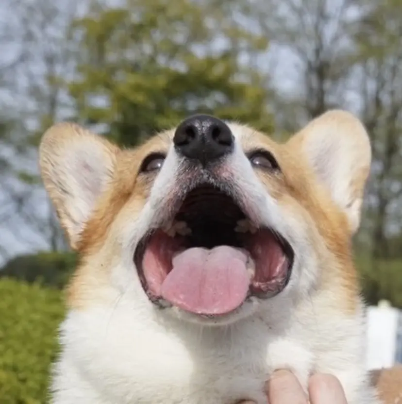 初めてでも安心🌿 吉澤インナーカラーの掲載