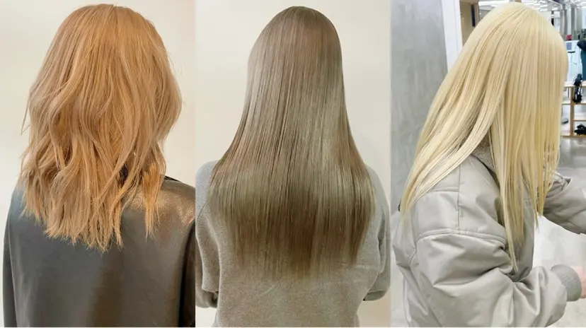 ハイトーン/レイヤー 🌸さくらの掲載