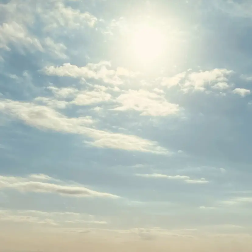 浅香 諒太の掲載