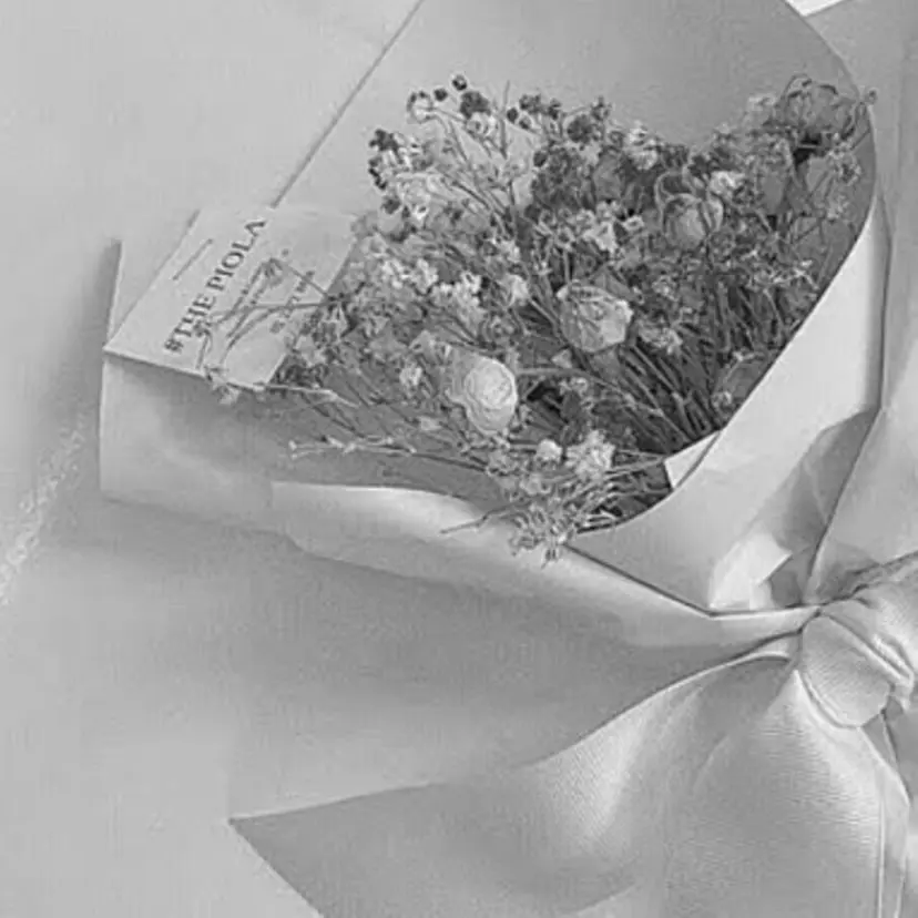 レナ🧸‪🤎 アメリシュシュの掲載