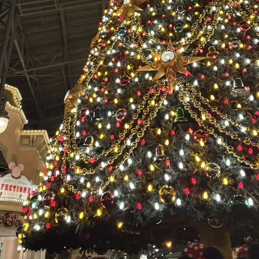 ハイトーン/ダブル カラー/あやかの掲載