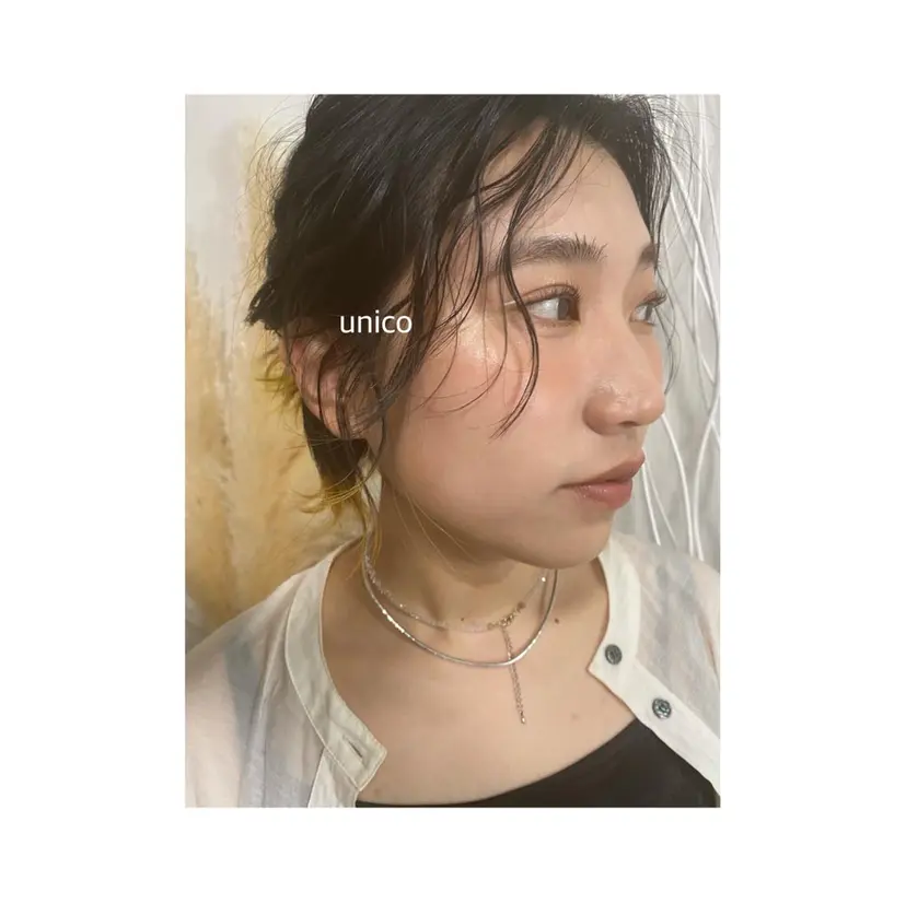 unico privateの掲載