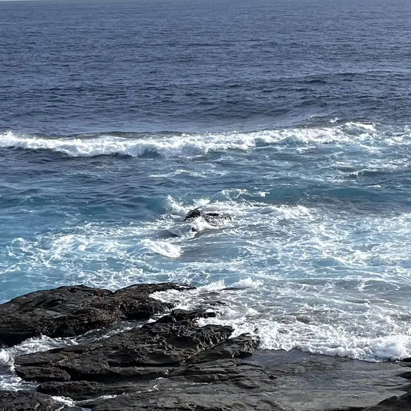 ブリーチ/デザイン SAKUの掲載